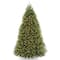 9 ft. Pre-Lit Dunhill® Fir Medium Profile Artificial Christmas Tree, Clear Lights